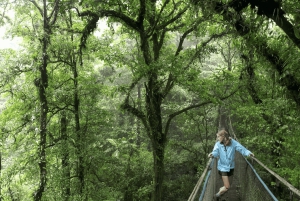 De La Fortuna: Traslado compartilhado de ida para Monteverde