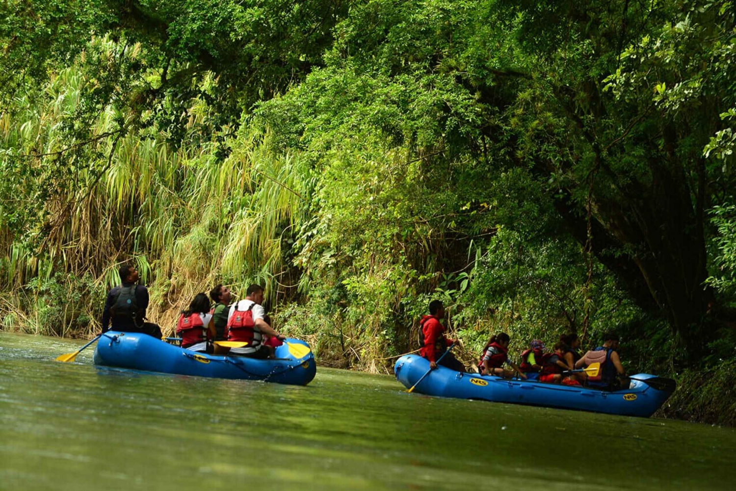 From La Fortuna: Penas Blancas River Float Guided Day Trip