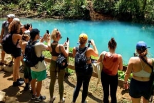 Fra La Fortuna: Heldagstur til Rio Celeste med vandring