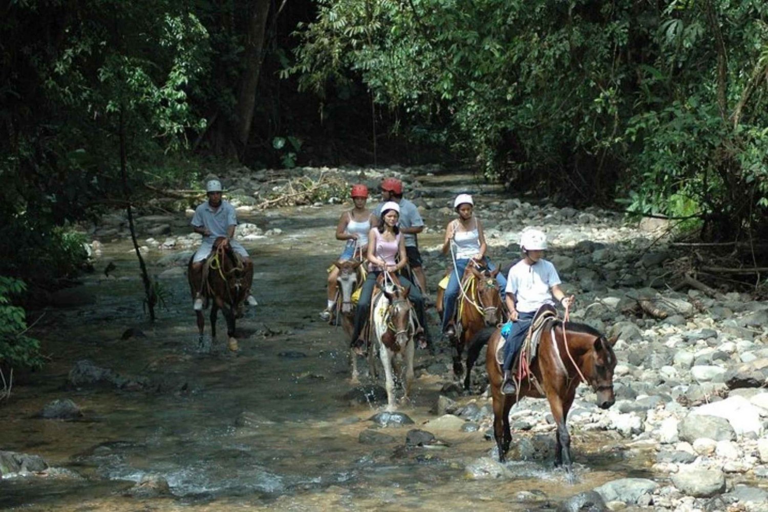 From Manuel Antonio: Horseback Riding with Lunch or Dinner