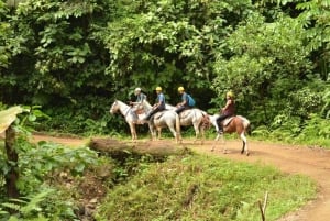 From Manuel Antonio: Horseback Riding with Lunch or Dinner