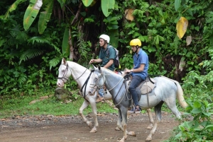From Manuel Antonio: Horseback Riding with Lunch or Dinner