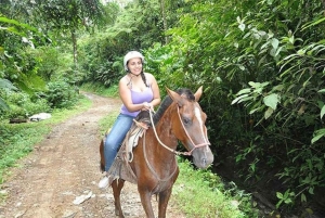 From Manuel Antonio: Horseback Riding with Lunch or Dinner