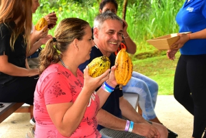 Fra Manuel Antonio: Dagsudflugt til Los Suenos Adventure Park