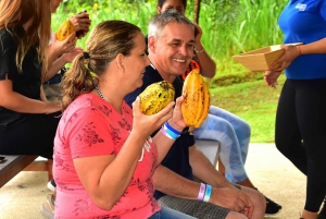 From Manuel Antonio: Los Suenos Adventure Park Day Trip