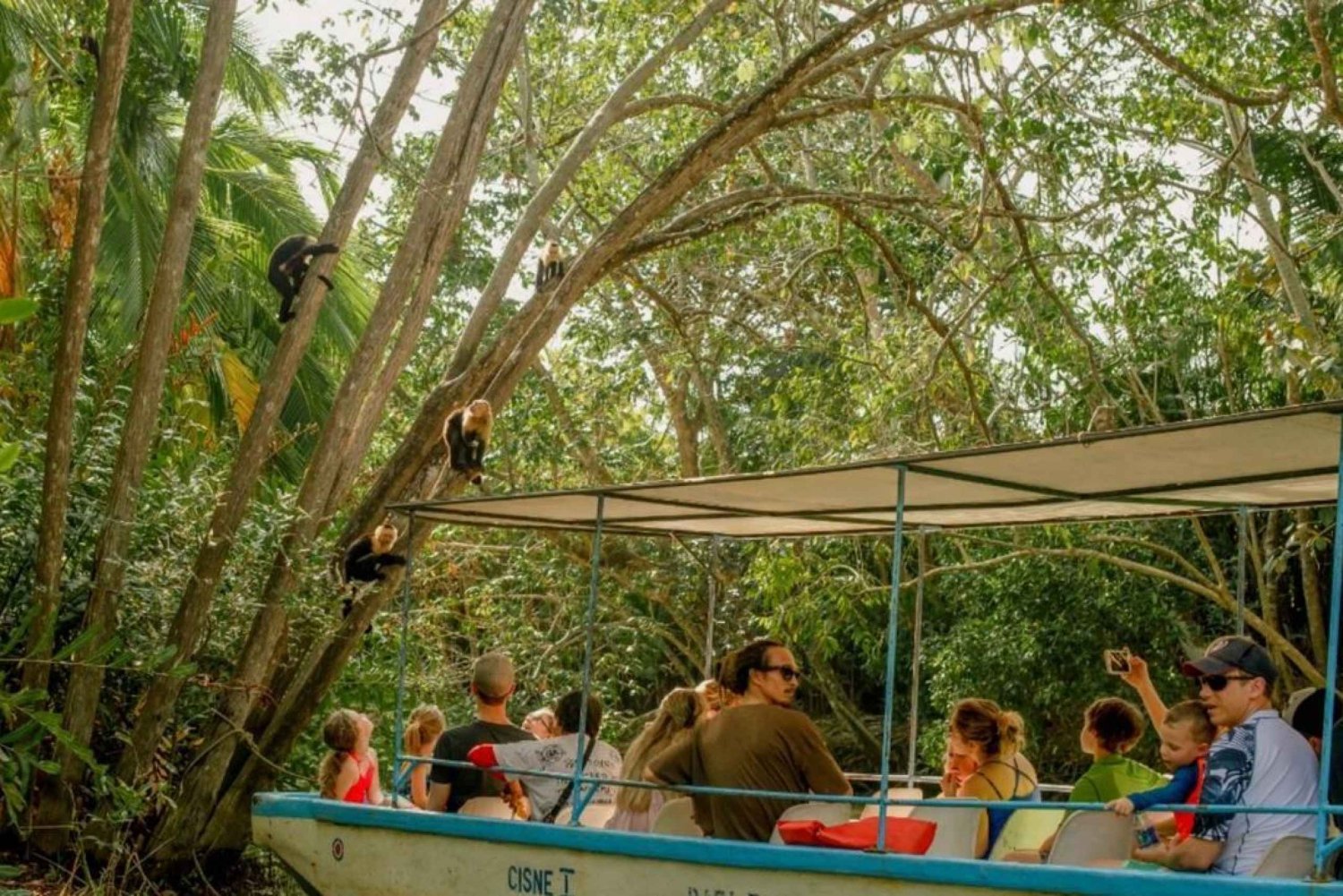 Manuel Antonio: Geführte Bootstour durch die natürlichen Mangroven und Getränke