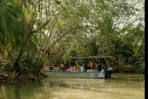 Manuel Antonio: Tour in barca con guida alle mangrovie naturali e bevande