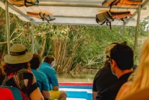 Manuel Antonio: Guidet båttur i den naturlige mangroven og drikkevarer