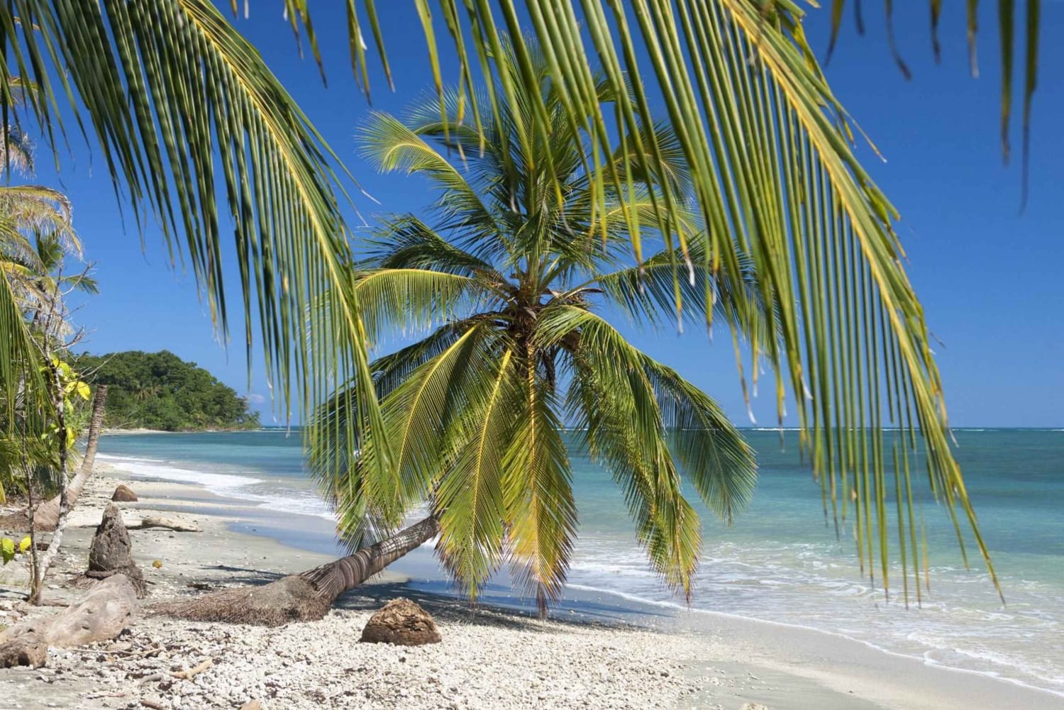 Von Manzanillo aus: Cahuita Schnorcheln und Regenwaldwanderung