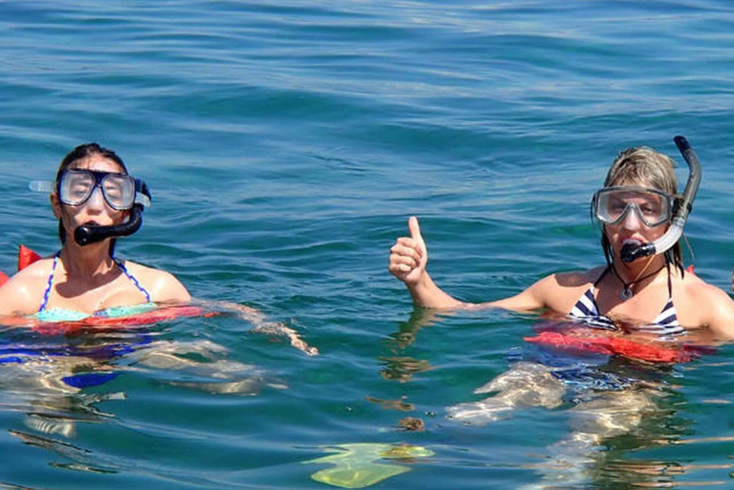 Von Manzanillo aus: Cahuita Schnorcheln und Regenwaldwanderung