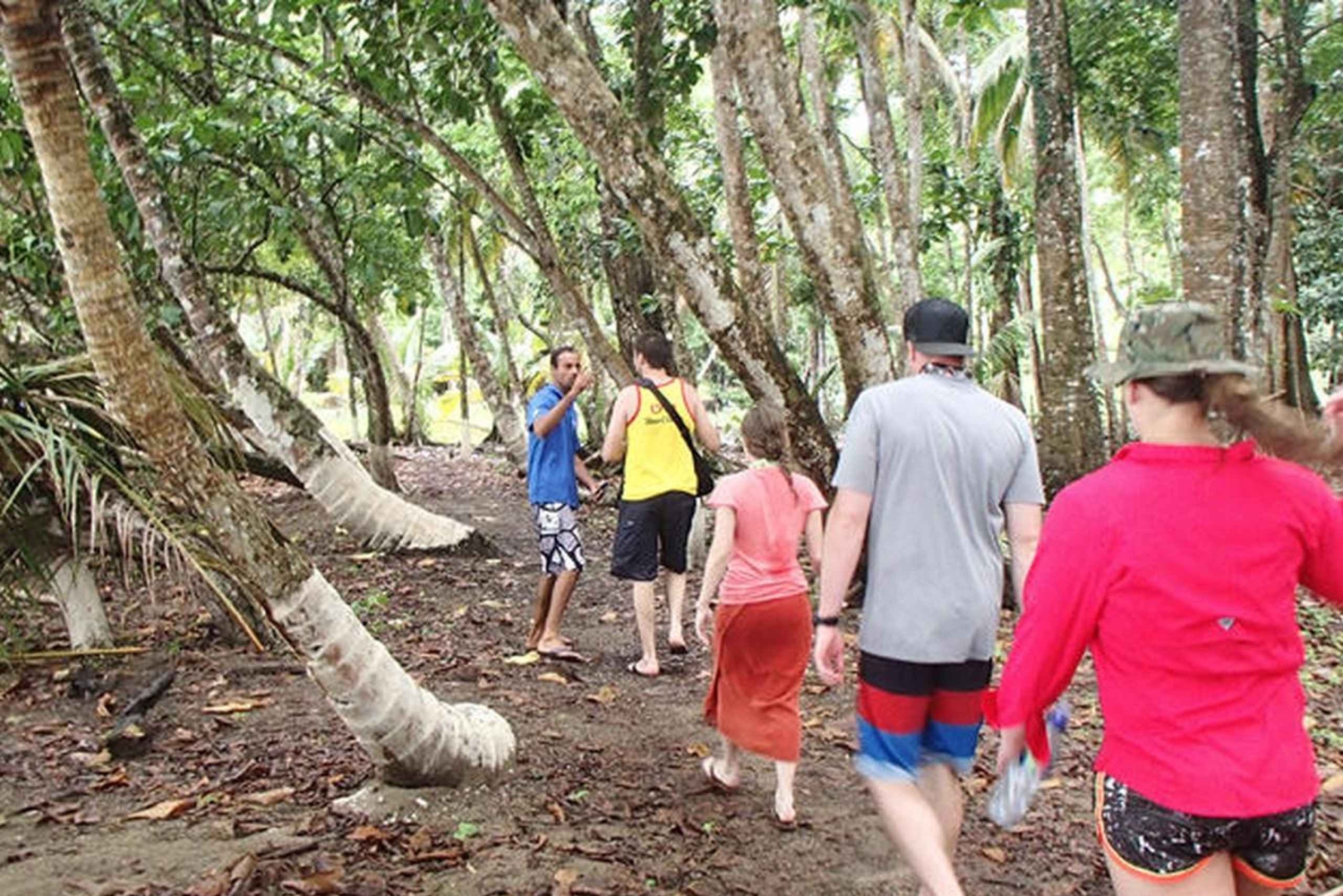 Von Manzanillo aus: Cahuita Schnorcheln und Regenwaldwanderung
