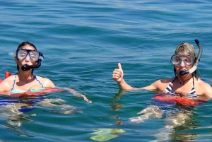 Von Manzanillo aus: Cahuita Schnorcheln und Regenwaldwanderung