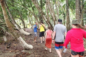 Von Manzanillo aus: Cahuita Schnorcheln und Regenwaldwanderung
