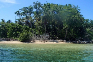 Von Manzanillo aus: Cahuita Schnorcheln und Regenwaldwanderung