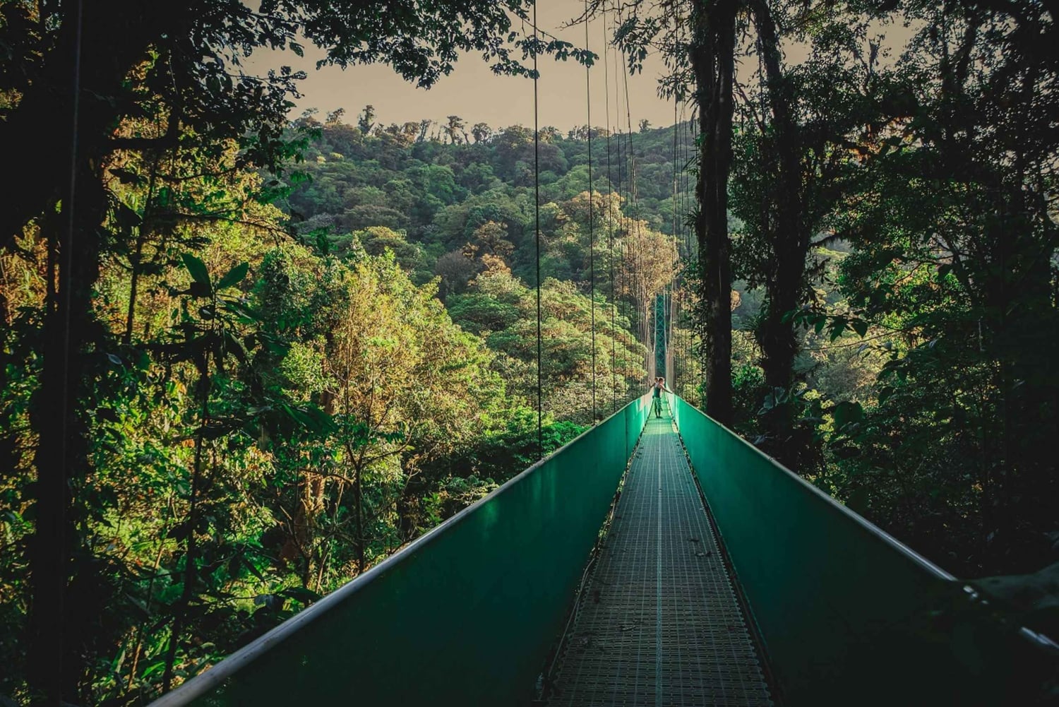 Vanuit Monteverde: Monteverde hangbrug wandeling met gids
