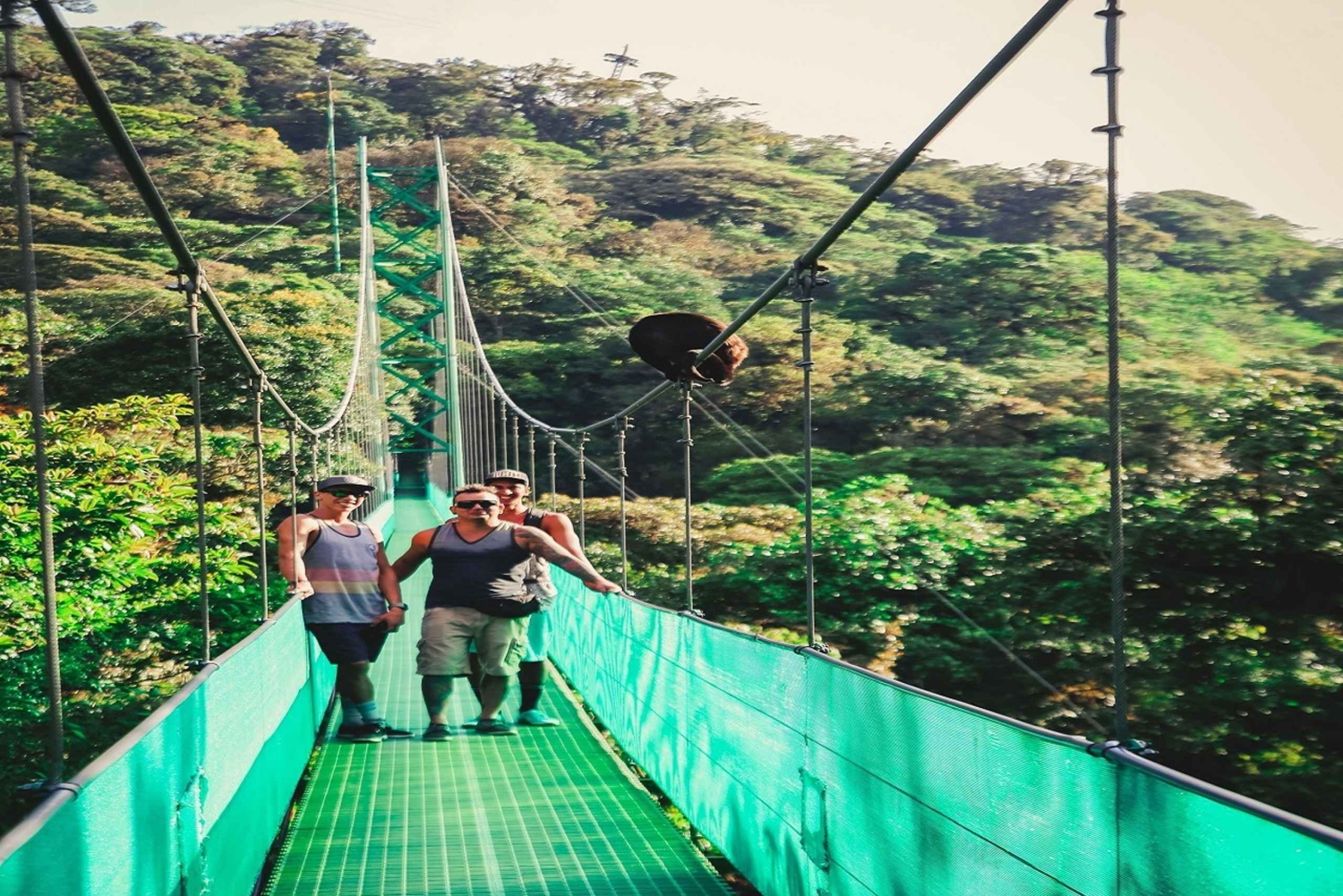 Vanuit Monteverde: Monteverde hangbrug wandeling met gids