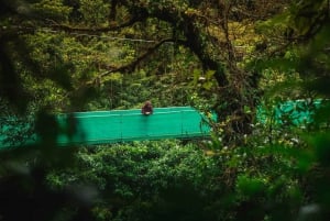 From Monteverde: Monteverde Suspension Bridge Guided Hike