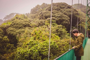 Vanuit Monteverde: Monteverde hangbrug wandeling met gids