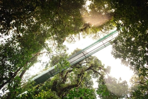 Vanuit Monteverde: Monteverde hangbrug wandeling met gids