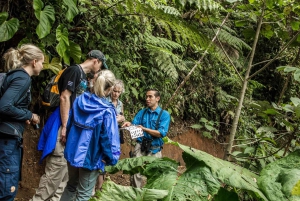 Vanuit Monteverde: Monteverde hangbrug wandeling met gids