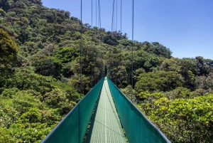 Vanuit Monteverde: Monteverde hangbrug wandeling met gids