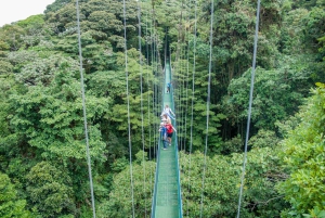 Vanuit Monteverde: Monteverde hangbrug wandeling met gids