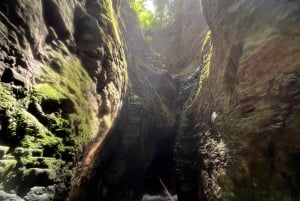 Dal nord-ovest della Costa Rica: Tour a piedi delle cascate di La Leona