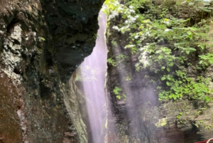 Från nordvästra Costa Rica: Vandringstur till vattenfallet La Leona
