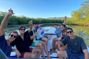 From Playa Pochote: Tortuga Island Private Tour