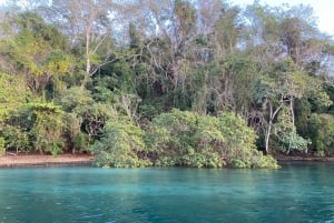 From Playa Pochote: Tortuga Island Private Tour