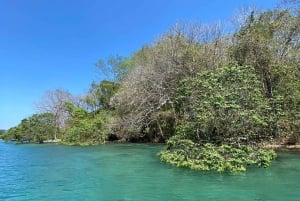 From Playa Pochote: Tortuga Island Private Tour