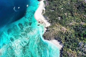 From Playa Pochote: Tortuga Island Private Tour