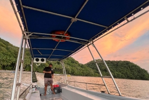 From Playa Pochote: Tortuga Island Private Tour