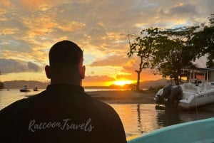 From Playa Pochote: Tortuga Island Private Tour