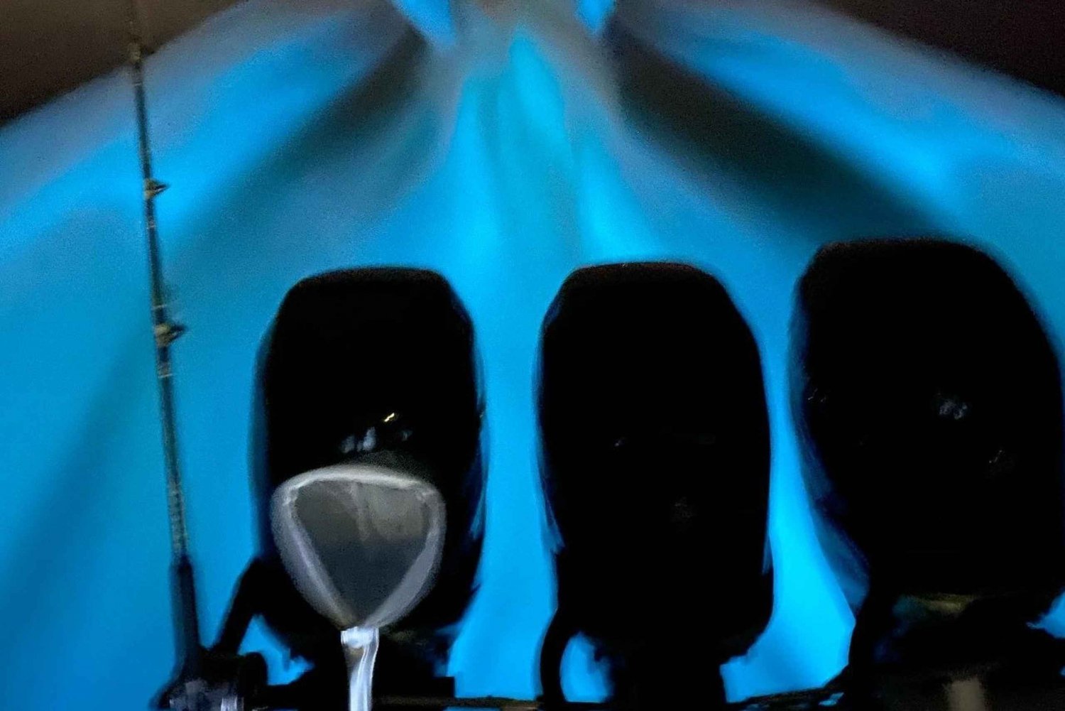 Z Puntarenas: rejs statkiem Bioluminscence z grillem i napojami