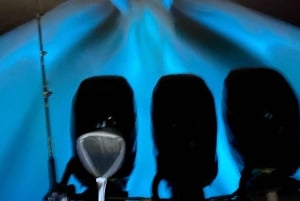 Z Puntarenas: rejs statkiem Bioluminscence z grillem i napojami