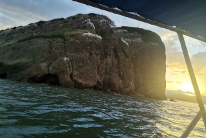 Z Puntarenas: rejs statkiem Bioluminscence z grillem i napojami