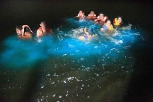 Desde Puntarenas: tour en barco bioluminiscente con barbacoa y bebidas