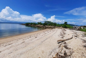 From Puntarenas: Bioluminiscence Boat Tour with BBQ & Drinks