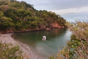 From Puntarenas: Bioluminiscence Boat Tour with BBQ & Drinks