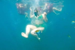 From Puntarenas: Isla Tortuga Full-Day Group Tour