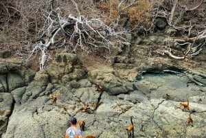 From Puntarenas: Tortuga Island Full-Day Boat Trip