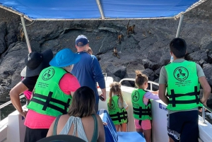 From Puntarenas: Tortuga Island Full-Day Boat Trip