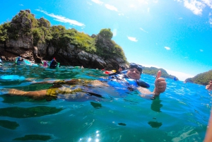Au départ de Puntarenas : excursion VIP d'une jounée sur l'île Tortuga