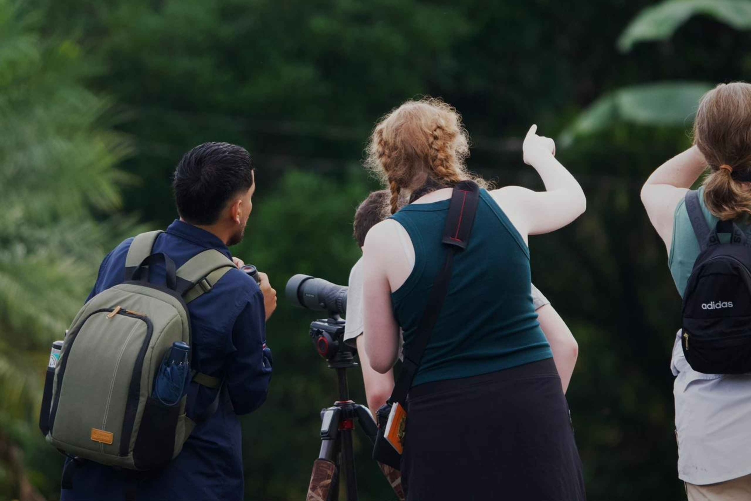 Från Quepos: fågelskådning i Esquipulas, endemiska arter.