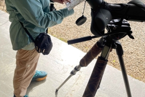 Från Quepos: fågelskådning i Esquipulas, endemiska arter.