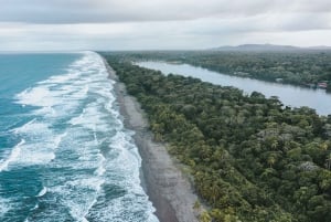Fra San Jose: 3-dages udflugt til Tortuguero National Park