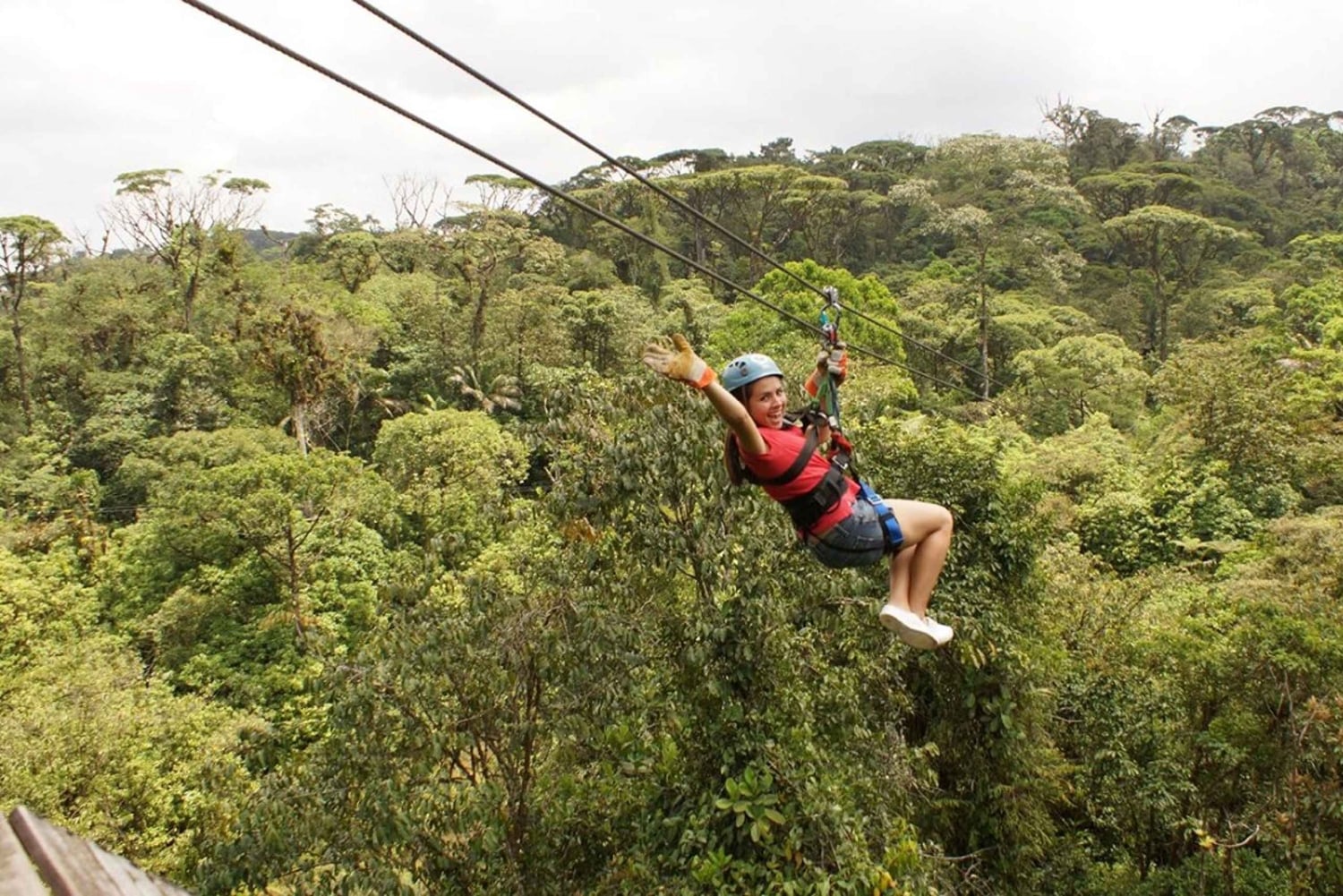 Fra San Jose: 6-i-1 Rainforest Bridges & Cables Adventure