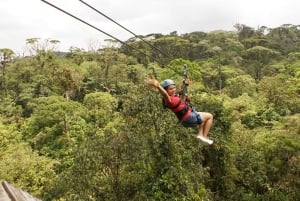 Fra San Jose: 6-i-1 Rainforest Bridges & Cables Adventure