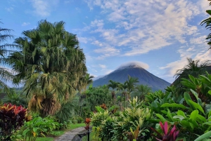 From San Jose: Airport to La Fortuna Private Transfer